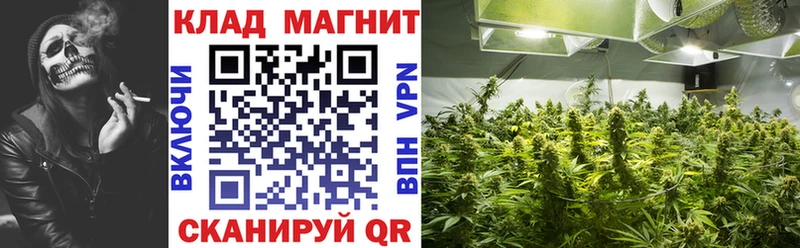 Где можно купить наркотики Мурманск КОКАИН  Меф мяу мяу  A-PVP  Гашиш 